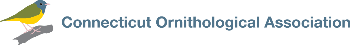 Connecticut Ornithological Association | COA